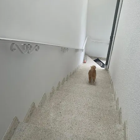 La Bienvenue Apartment Tourtrol